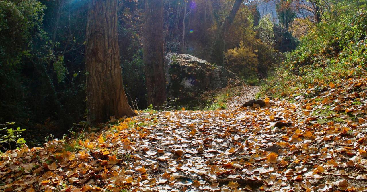 Alojamiento Rural Fuente De La Glorieta Казорла Экстерьер фото