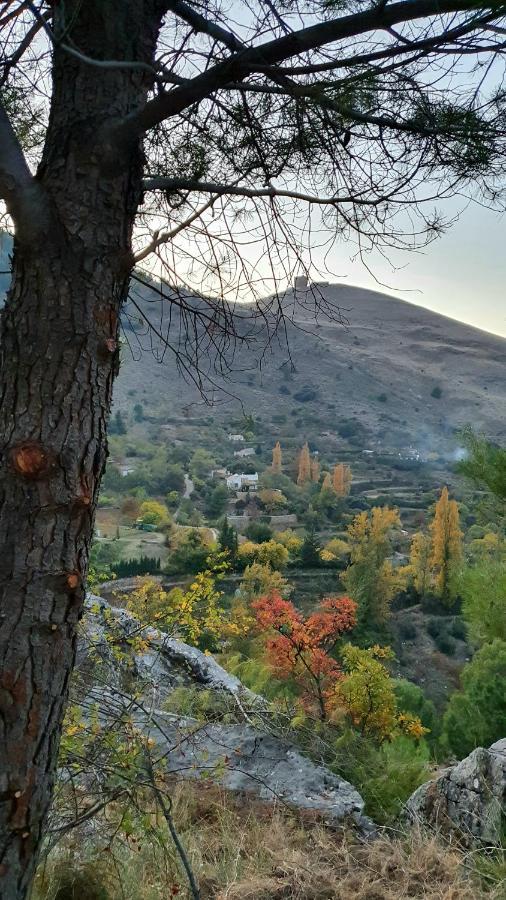 Alojamiento Rural Fuente De La Glorieta Казорла Экстерьер фото